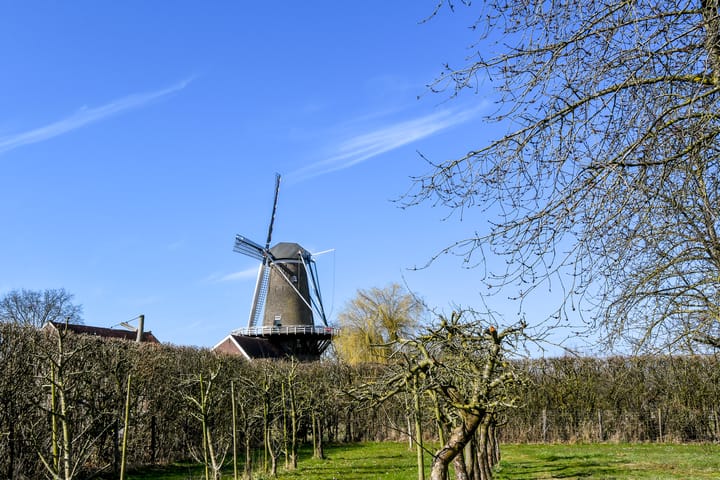 Foto 40 van Molendijk 4