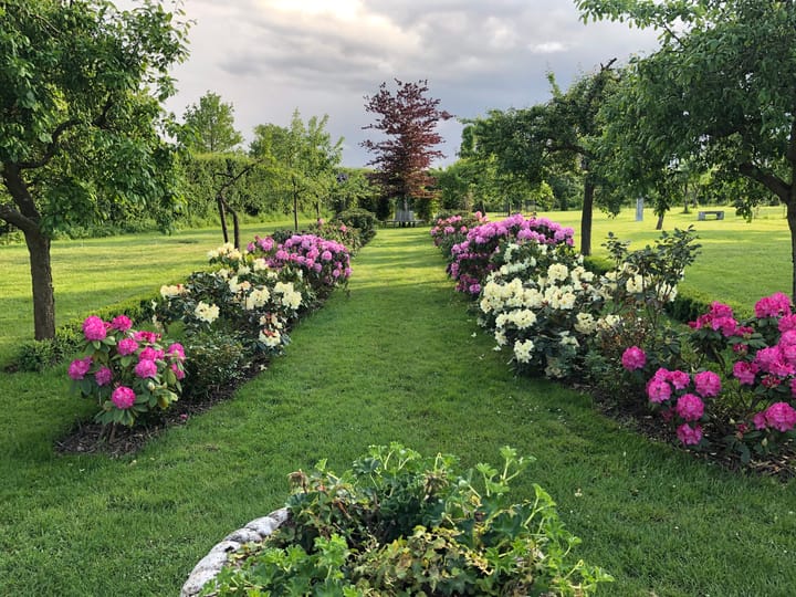 Foto 63 van Molendijk 4