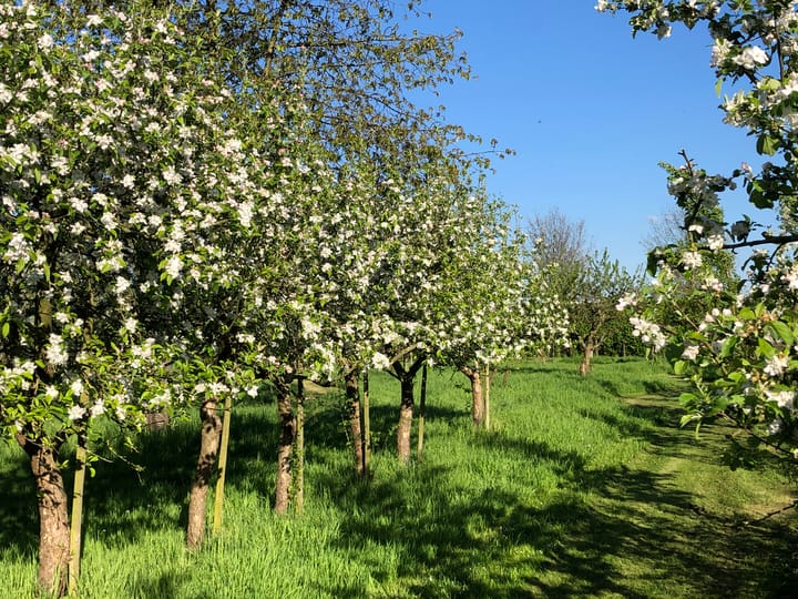 Foto 65 van Molendijk 4