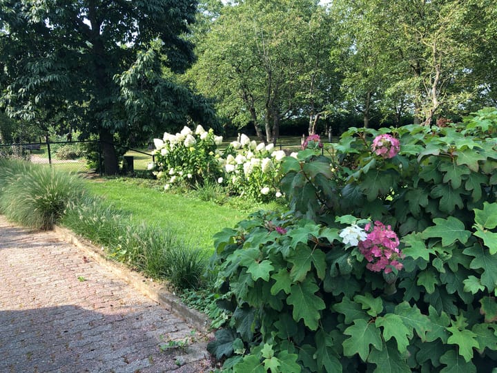 Foto 66 van Molendijk 4