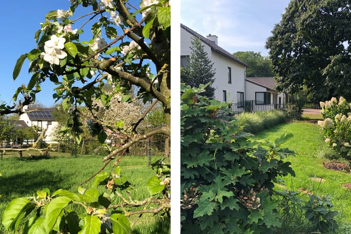 Foto 69 van Molendijk 4