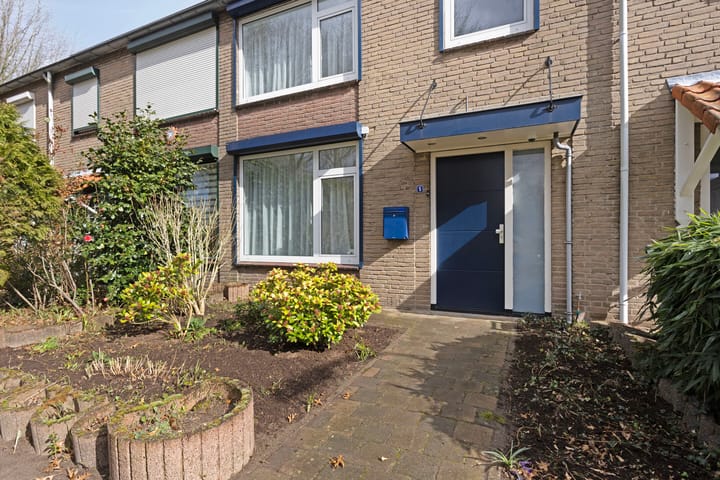 Foto 2 van Meeuwenstraat 5