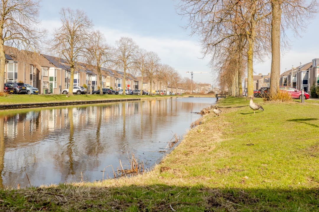 Foto 41 van Sterremosstraat 8