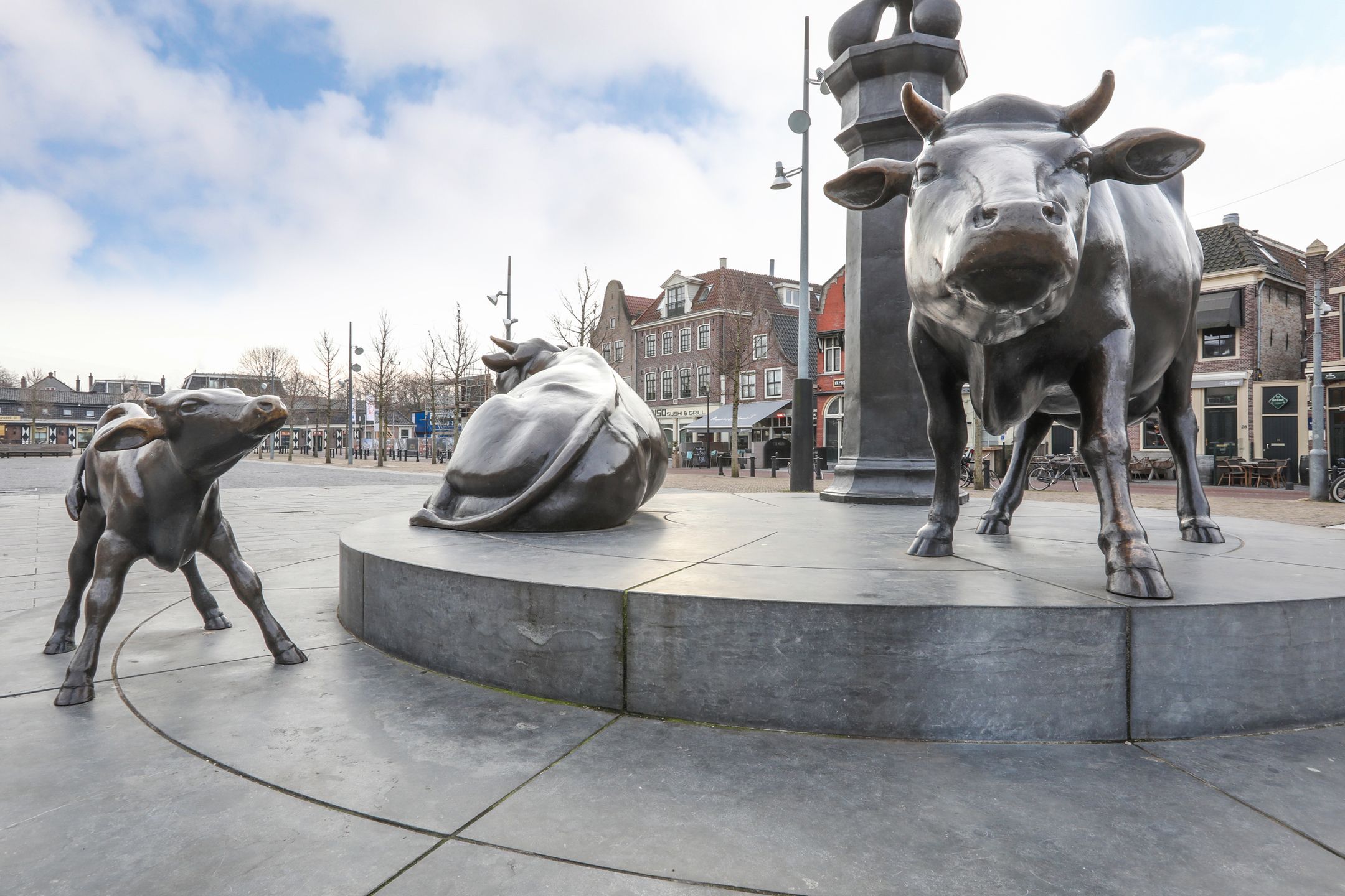 Foto 45 van Sterremosstraat 8