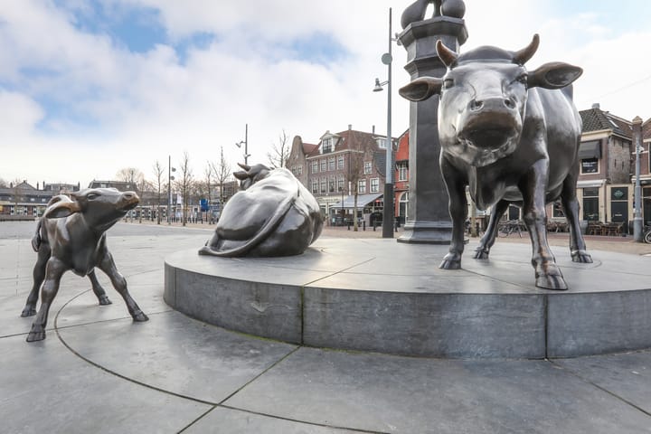 Foto 45 van Sterremosstraat 8