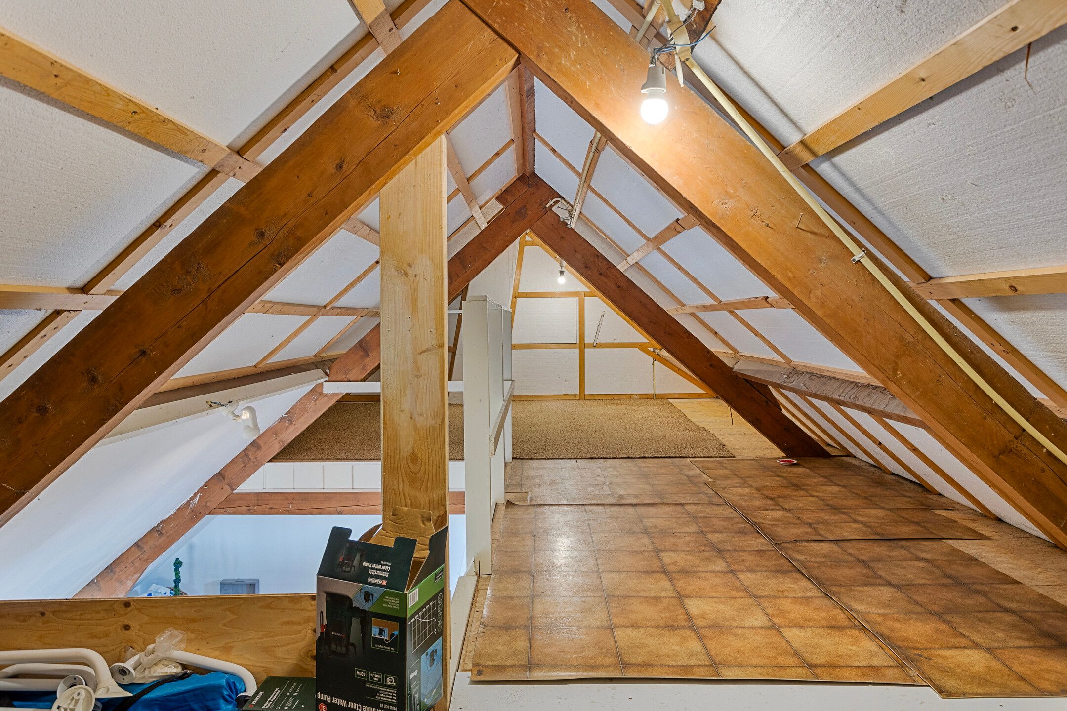 Foto 33 van Dorpsweg 61