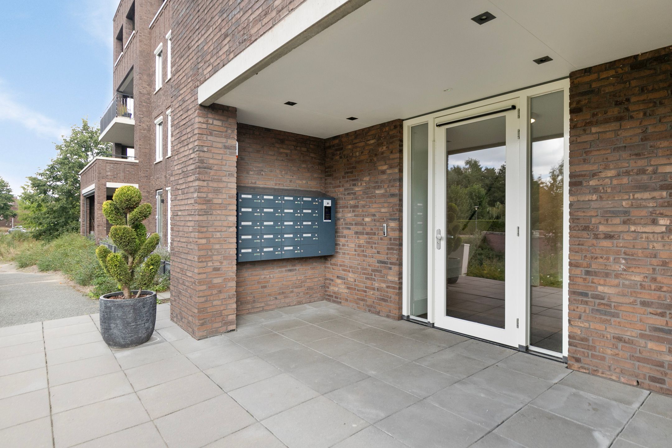 Photo 6 of Zoete Kers 59