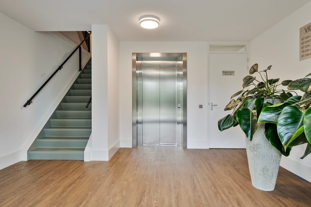 Photo 7 of Zoete Kers 59