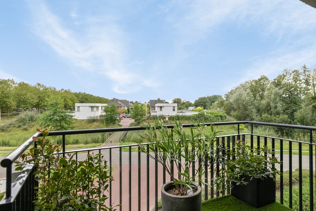 Photo 28 of Zoete Kers 59