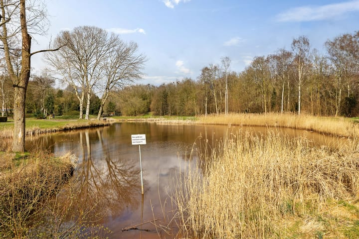 Foto 27 van De Koare 37