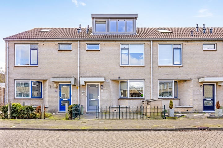 Photo 1 of Meerval 36