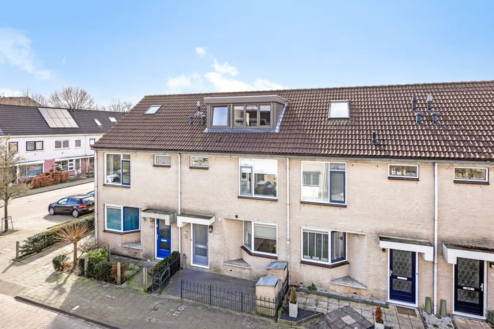 Photo 27 of Meerval 36