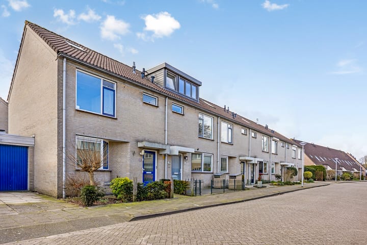 Photo 29 of Meerval 36