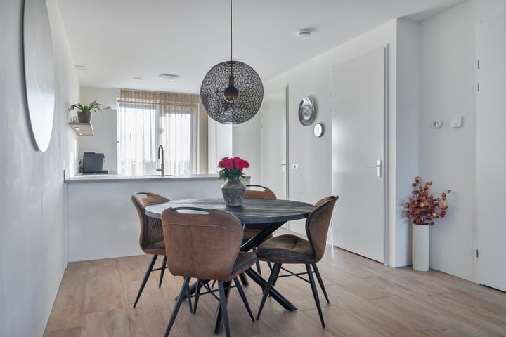 Foto 3 van Apollovlinder 19