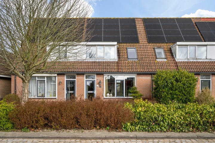 Foto 6 van Steintjeskreek 23