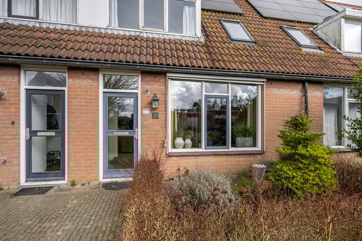 Foto 7 van Steintjeskreek 23