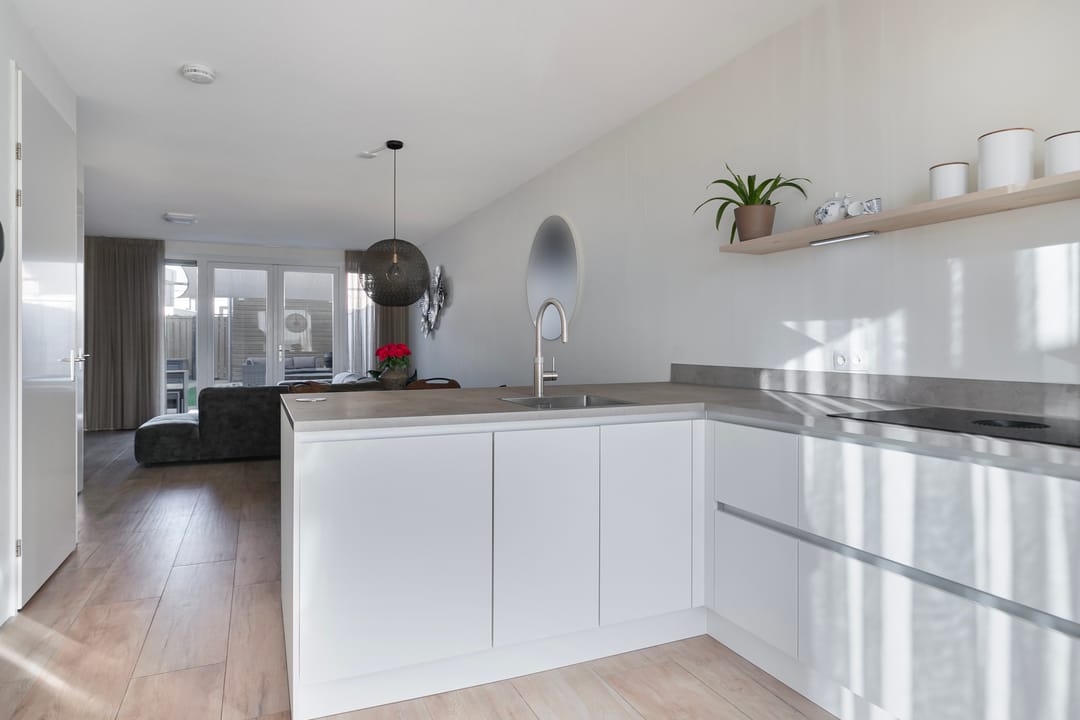 Foto 13 van Apollovlinder 19