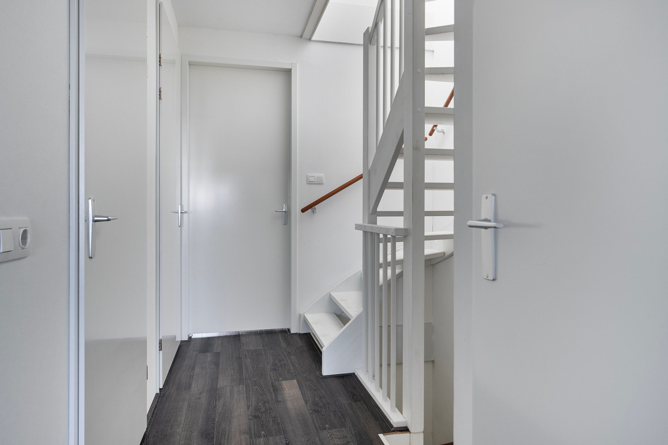 Foto 15 van Apollovlinder 19