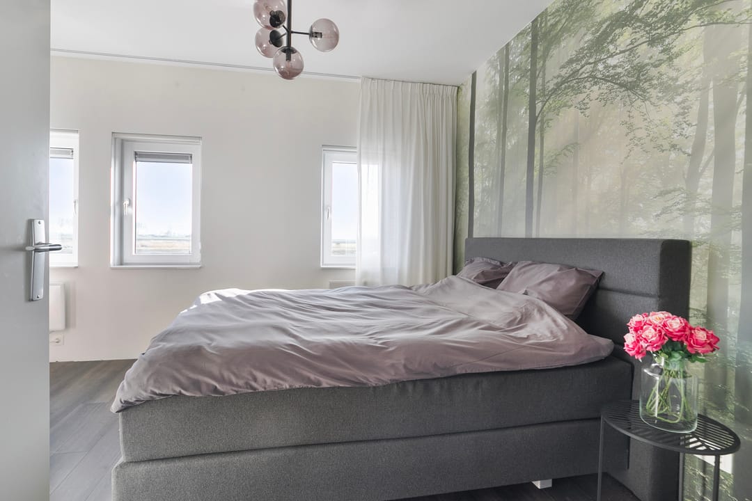 Foto 16 van Apollovlinder 19