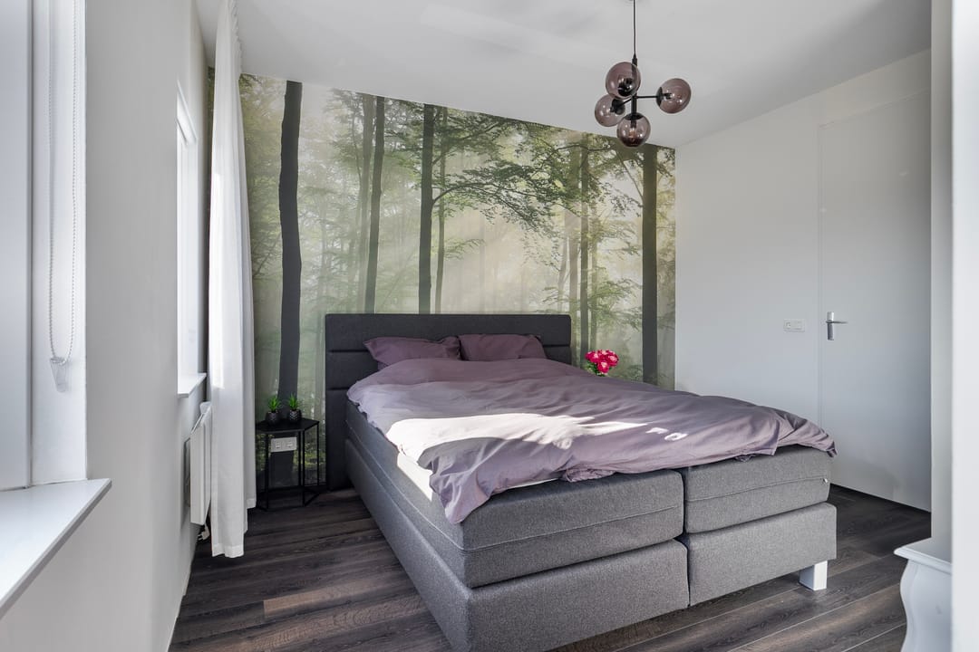 Foto 17 van Apollovlinder 19