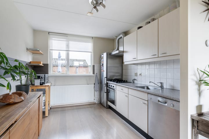 Foto 13 van Steintjeskreek 23