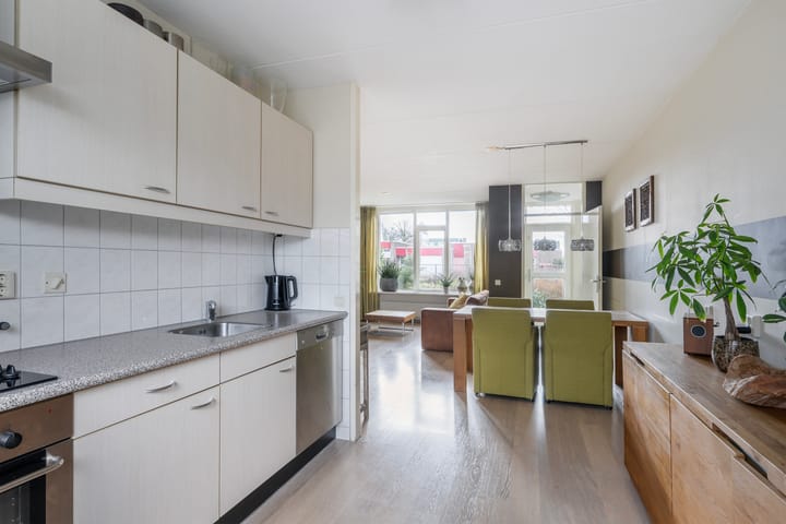 Foto 14 van Steintjeskreek 23