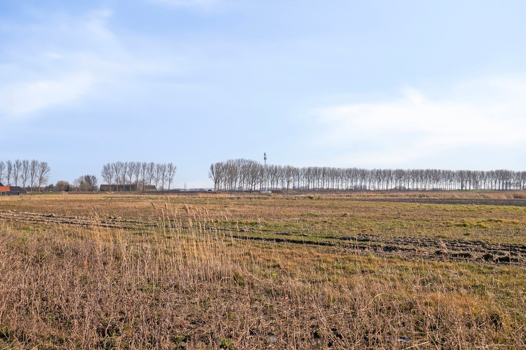 Foto 27 van Apollovlinder 19