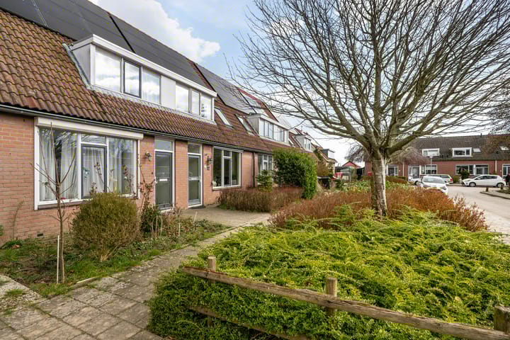 Foto 29 van Steintjeskreek 23