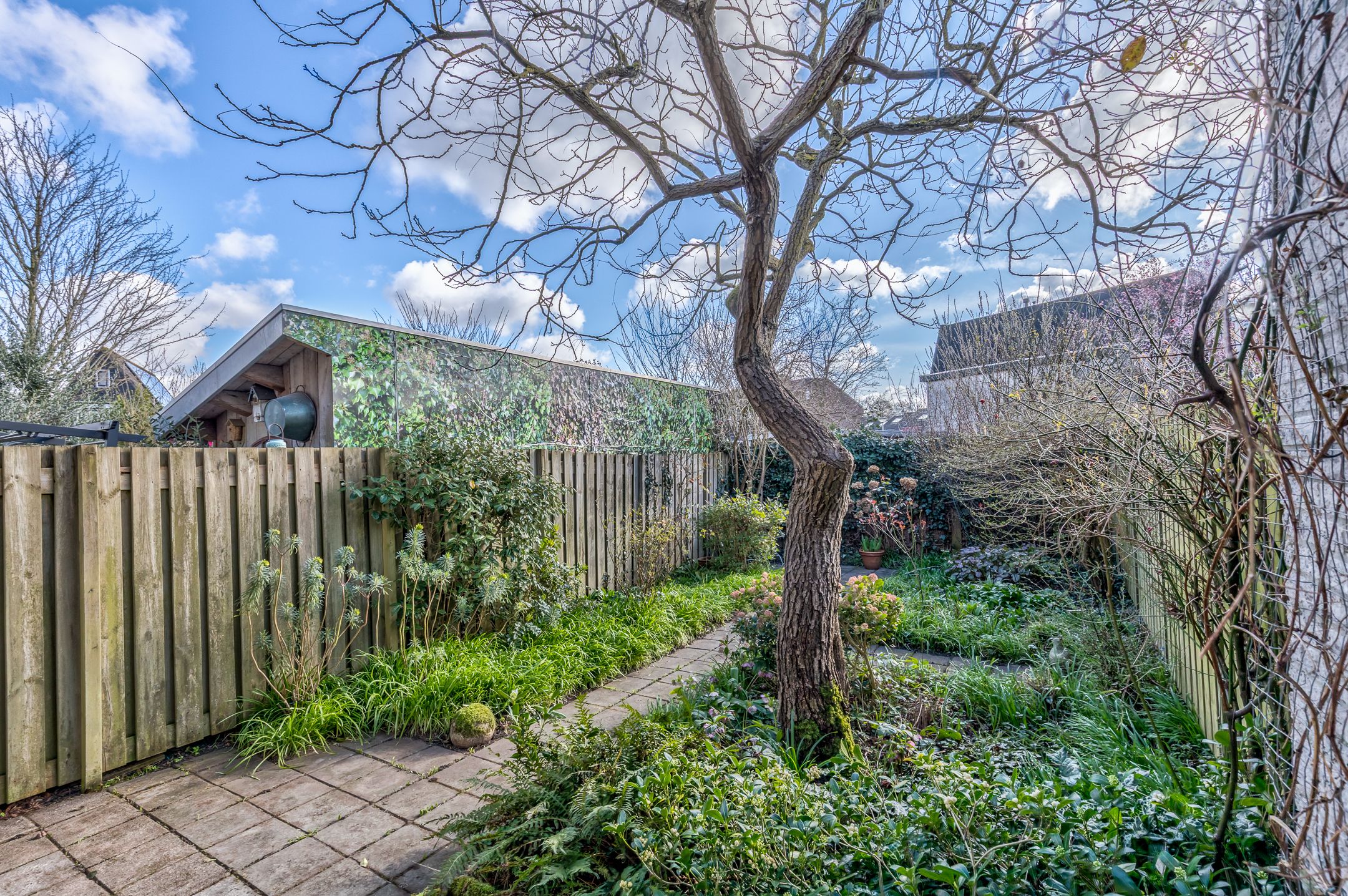 Foto 3 van Trompet 18