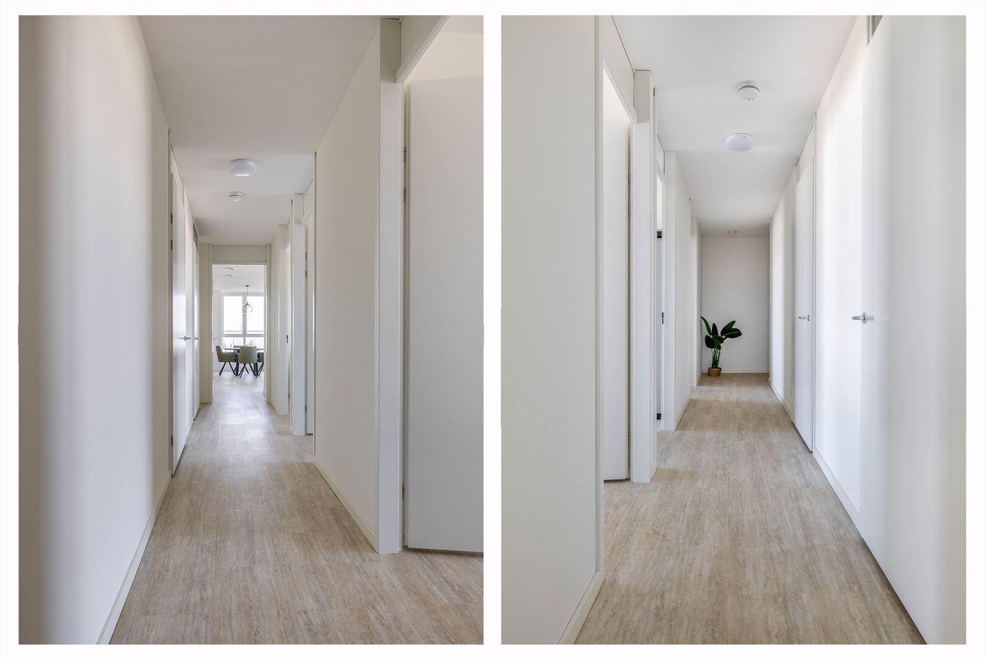 Foto 14 van Marrewijklaan 146