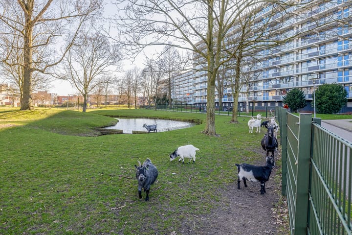 Foto 38 van Marrewijklaan 146