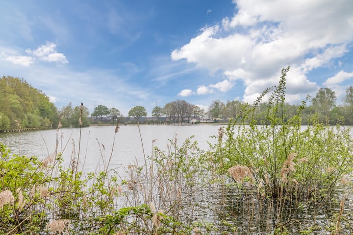 Foto 29 van Dr. Ariënsstraat 8