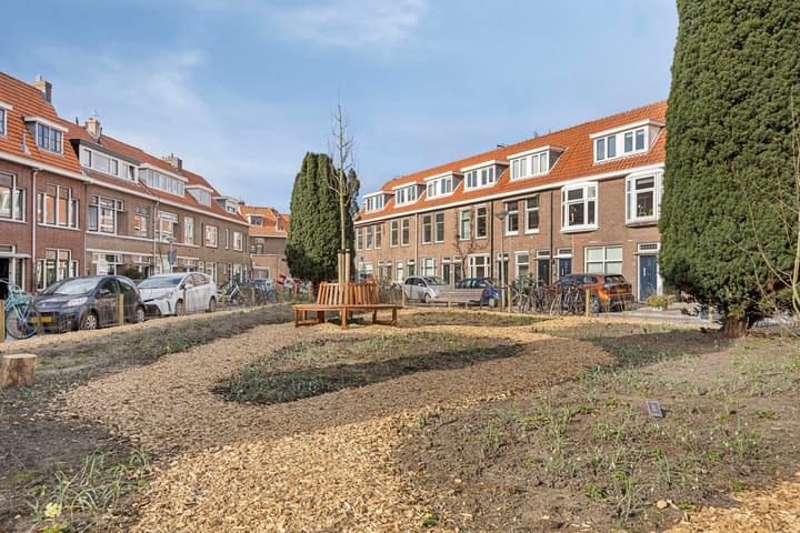 Foto 38 van Anthonij Duijckstraat 19