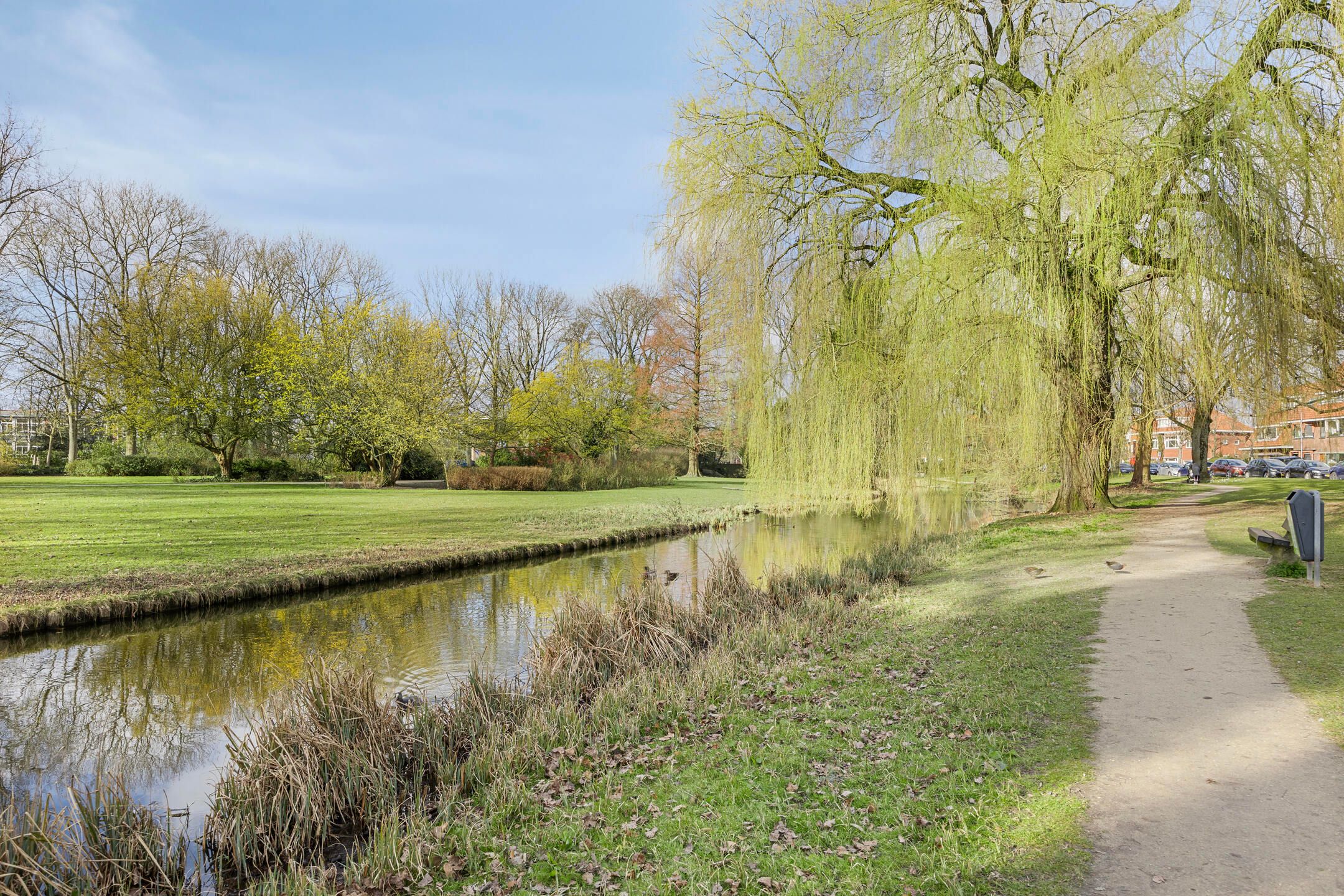 Foto 39 van Anthonij Duijckstraat 19