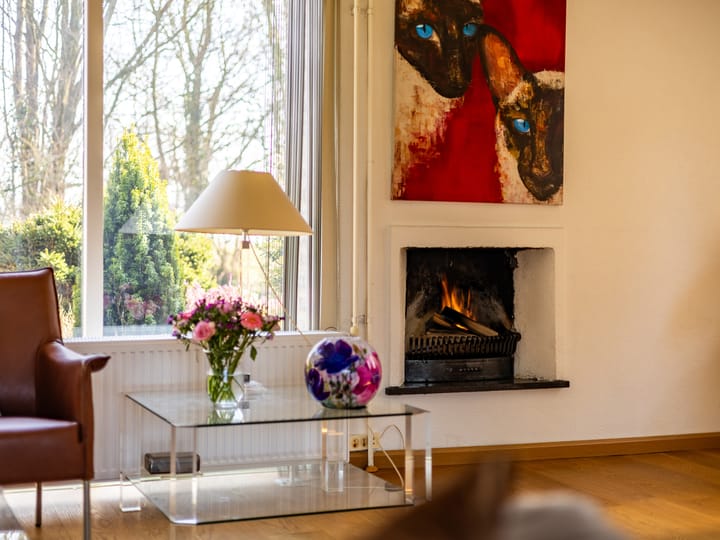 Foto 8 van Adelaarstraat 21