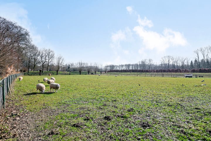 Foto 37 van Streepenstraat 52