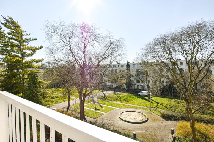 Foto 11 van Daniël Defoelaan 132