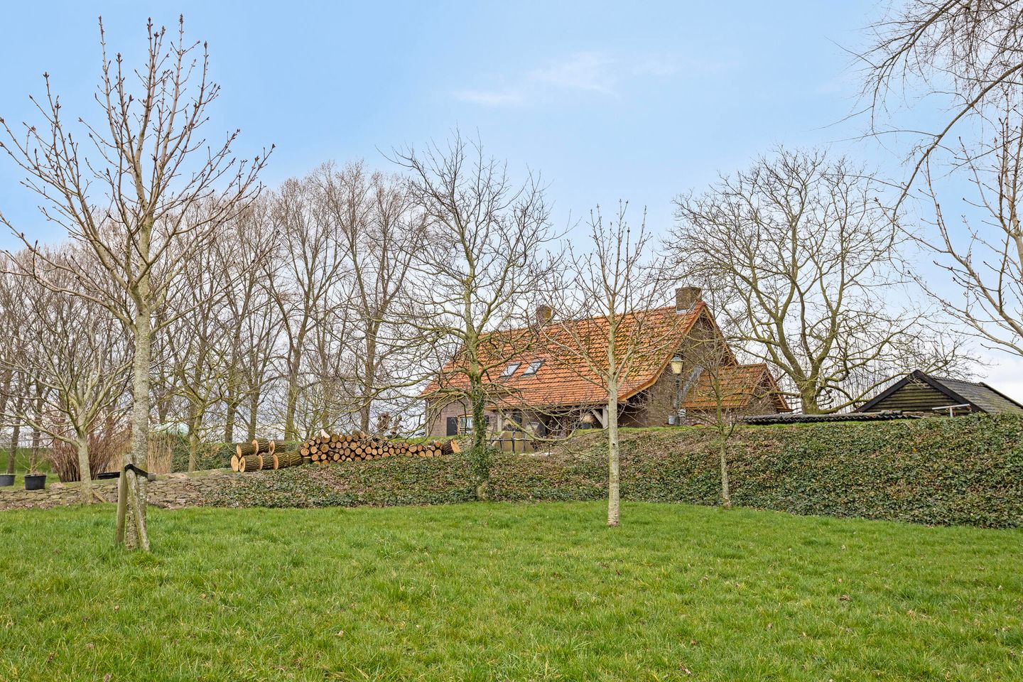 Foto 10 van Waarddijk 2