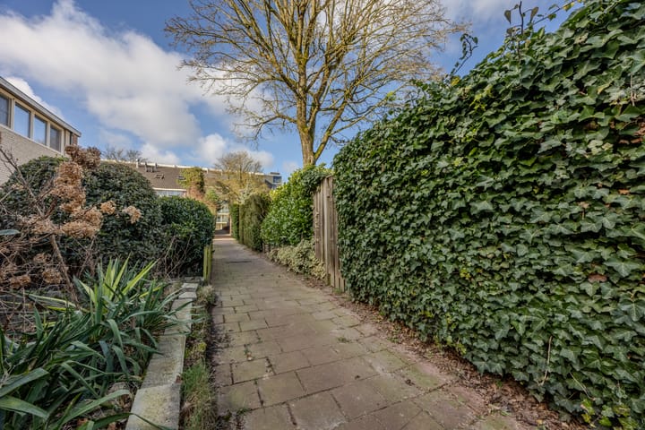 Foto 43 van Houtsnipwal 24