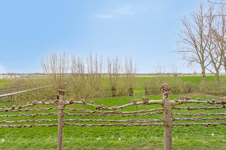 Foto 40 van Waarddijk 2