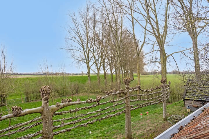 Foto 41 van Waarddijk 2