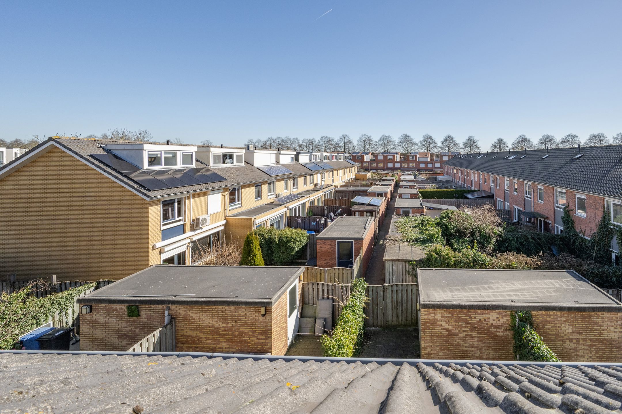 Foto 42 van Jip en Janneke 59