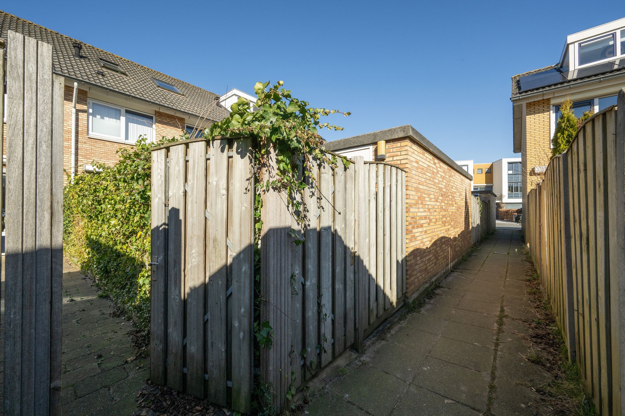 Foto 48 van Jip en Janneke 59