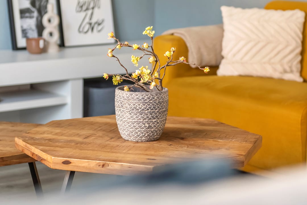 Foto 11 van Fregat 32