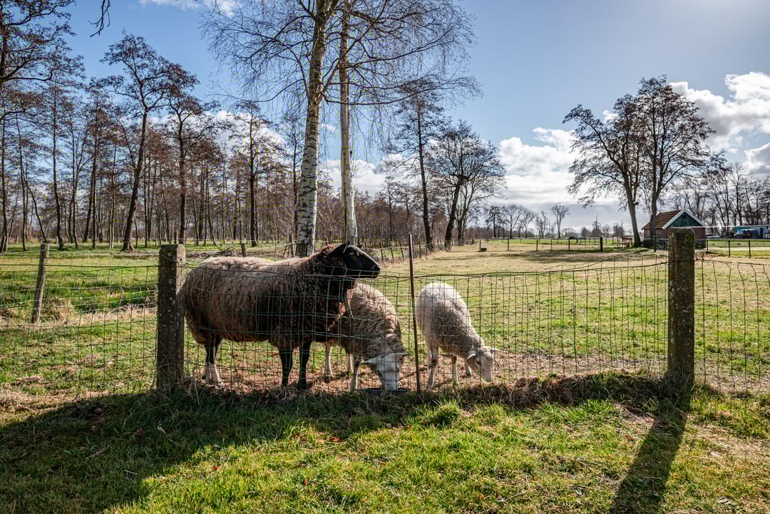 Foto 38 van Oude Rijksweg 493