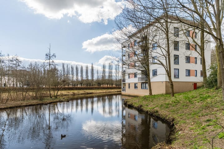 Foto 43 van Oude Vlijmenseweg 251