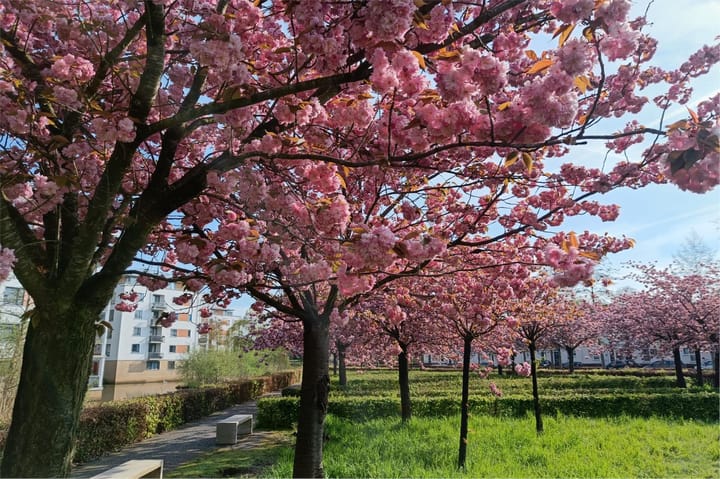 Foto 44 van Oude Vlijmenseweg 251