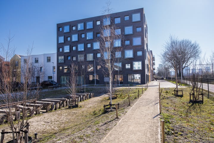 Wisselstraat 38