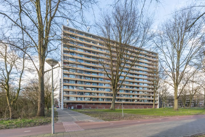 Foto 41 van Langswater 82