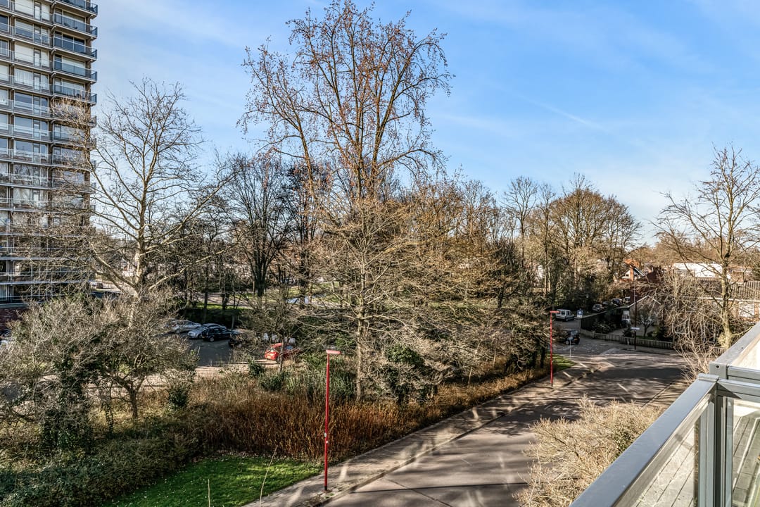 Foto 23 van Wenckebachplantsoen 13